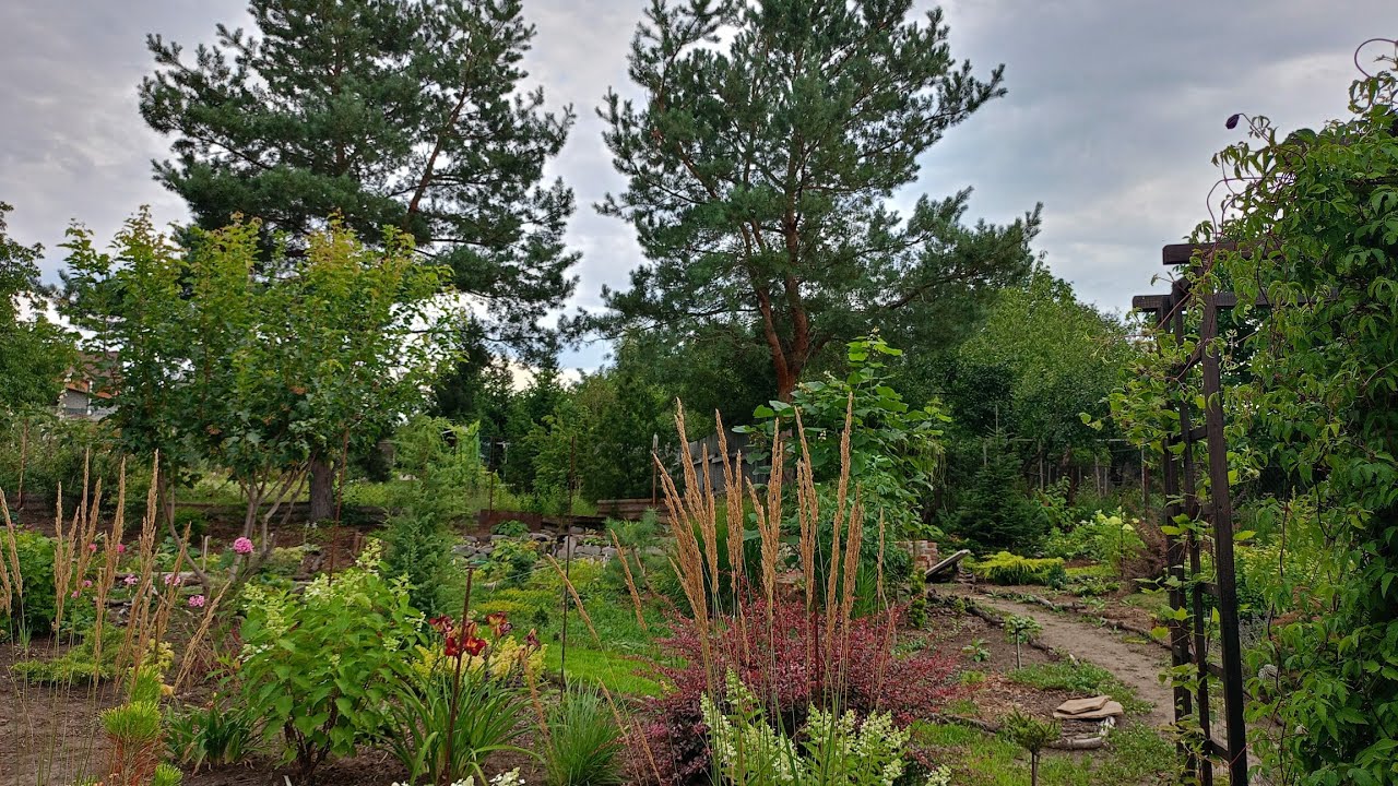 ч.2. Зробили патіо і доробили лавку в саду. Чим захистити деревину?