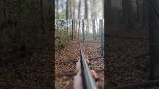 Found the Deer In Jungle 😲 #viralvideo #deerhunting #wildlife #harehunting #hunting