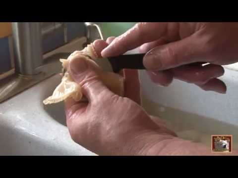 Thumbnail for Monster Clam, From Sand to Pan