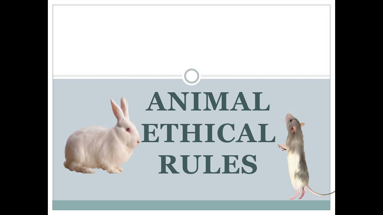 Animal ethical rules (Laboratory animals) 🐵 - YouTube