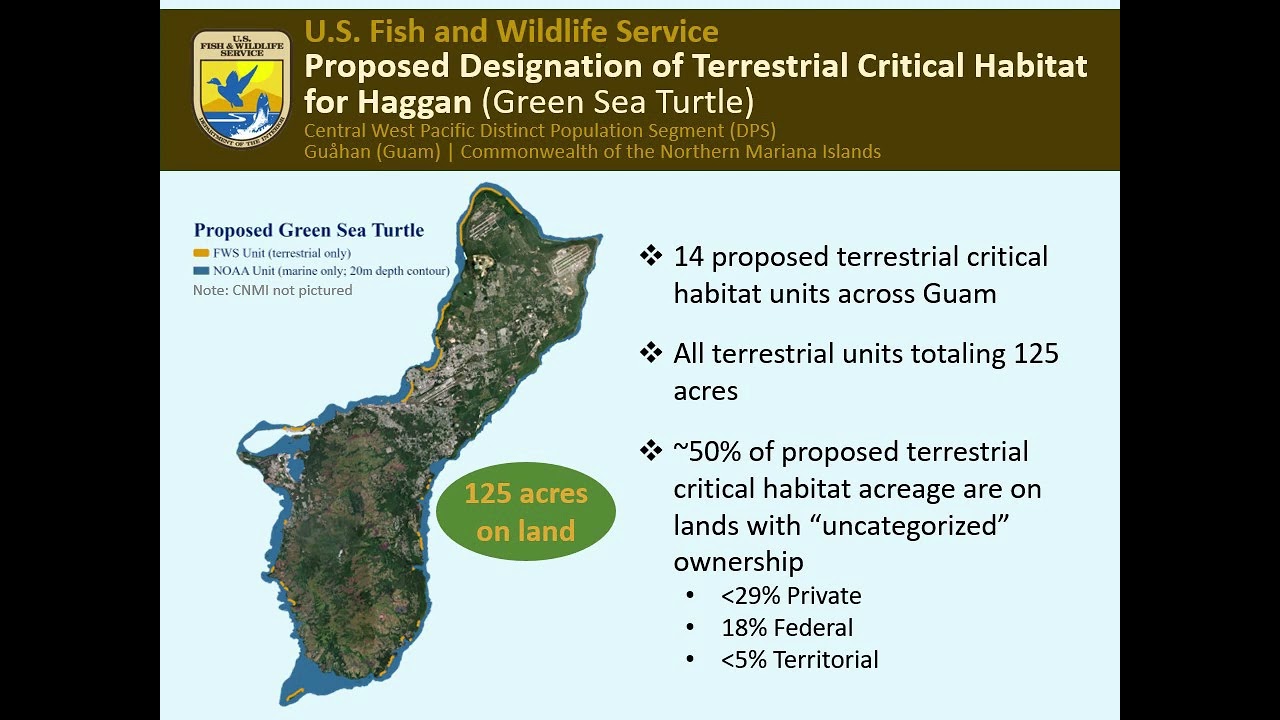 Guam Public Meeting for Haggan (green sea turtle)