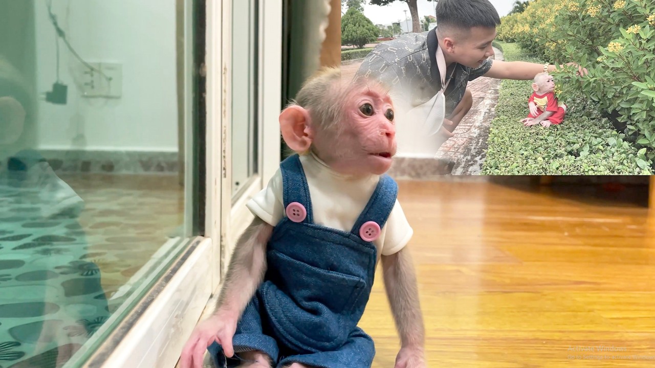 CUBIS Misses Dad and Wants to See Him at the Hospital