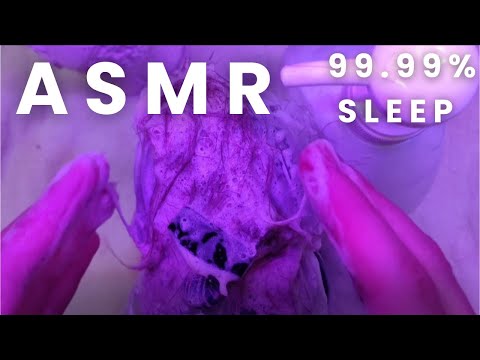 ASMR Washing your Hair in 29 MINUTES !!!!! (Sampoo, Personal Attention, No Talking) #asmr