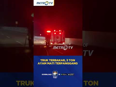 Mobil Truk Terbakar, 3 Ton Ayam Mati Terbakar di Ngawi #shorts