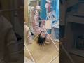 5歳の鉄棒仙人あらわる#shorts