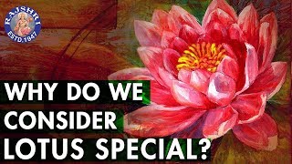 Do You Know? Why Is Lotus Special? | Importance Of Lotus | Interesting Facts About Lotus | Soul Importance Of Lotus Flower In Hinduism