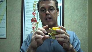 Roanoke Sciatic Relief - Dr Christopher Lauria