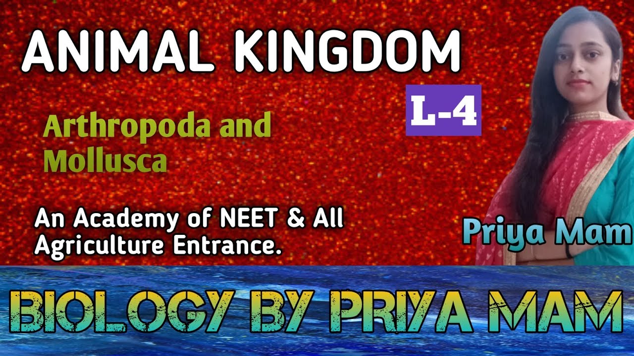 Animal kingdom Lec.4 || Arthropoda and Mollusca || NCERT based ...