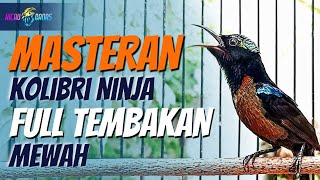 MASTERAN KONIN FULL ISIAN TEMBAKAN MEWAH