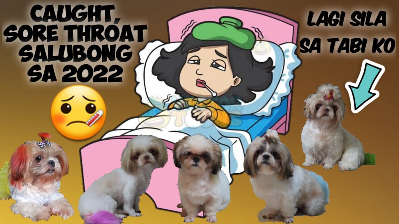 SHIH TZU FAM COUGH AND SORE THROAT USO NGAYUN YouTube