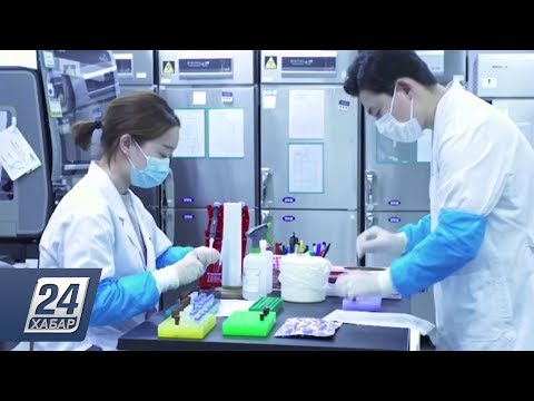 Как проводят лабораторные исследования на COVID-19