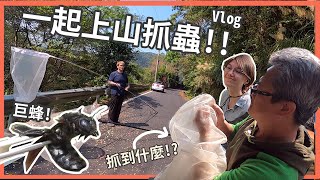 【抓蟲Vlog】超大隻木匠蜂！美國昆蟲學家對台灣的看法？BEE ≠ 蜜蜂 by  史考特 Walking Wild 28,320 views 3 years ago 8 minutes, 42 seconds