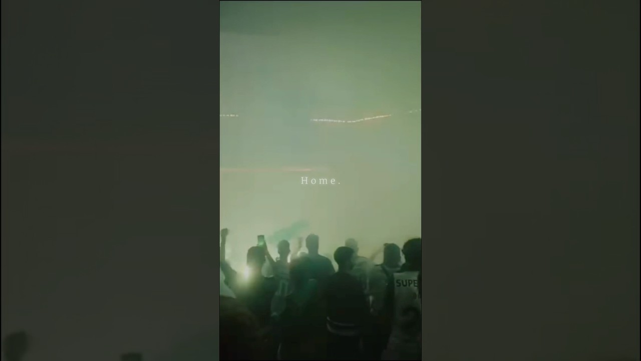 @SportingCP 💚🦁