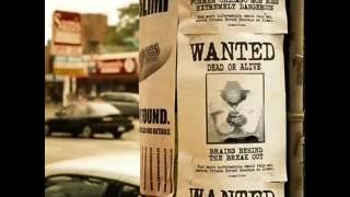 RHOMA IRAMA ADU DOMBA