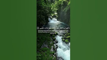 إِنَّ الْمُتَّقِينَ فِي جَنَّاتٍ وَنَعِيمٍ #سورة#الطور# للشيخ#مصطفى#مسامح #راحة_نفسية