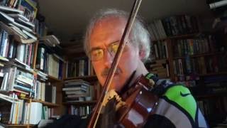 Old Fogey Learns Violin - Week 11