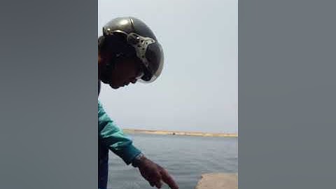 Cá dìa giật mỏi tay...