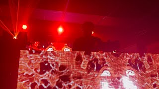 Download Lagu Shiba San live in Hawaii(4k) MP3