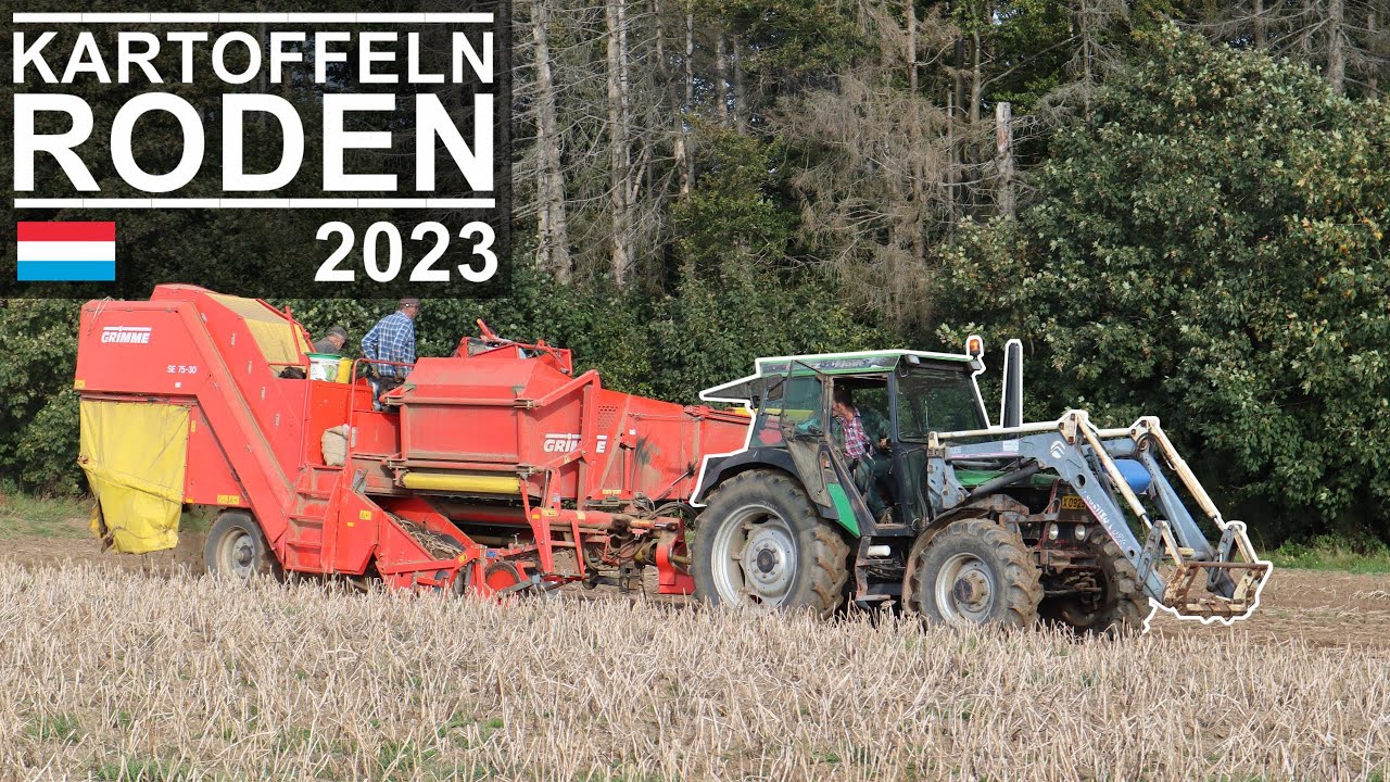 Kartoffeln Roden | Deutz Fahr DX 4.70 // Grimme SE 75-30 | Luxemburg 2023