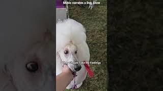 Mimic Narrates a Dog Show