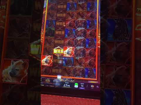 clip temp vertical videos 3 708Will Virtual Reality Casinos Replace Real Ones?