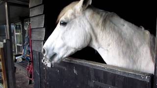 Download lagu sticky wants treats xxxxx sticky wants treats xxxxx