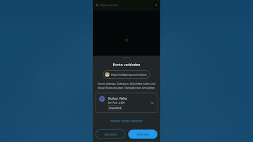 How to succesfully connect your Metamask Wallet to Shibaswap on Shibarium to buy CorruptFUN Token