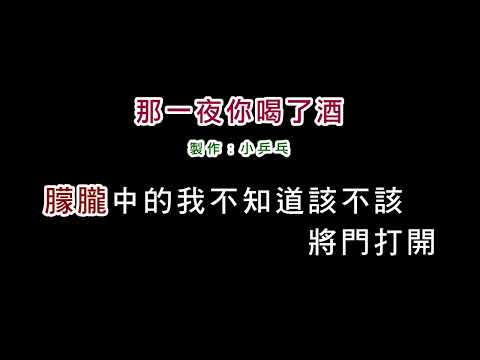 (演唱版)陳淑樺-那一夜你喝了酒(DIY卡拉OK字幕)