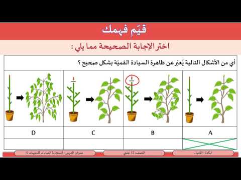 الصف 12 علمي الأحياء  استجابة النباتات للمنبهات 6  الأكسينات و اندول حمض الخليك 1