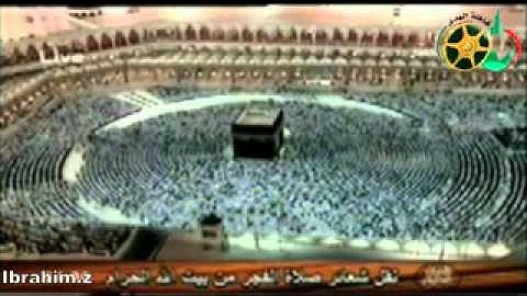 خالد الغامدي سورة نوح