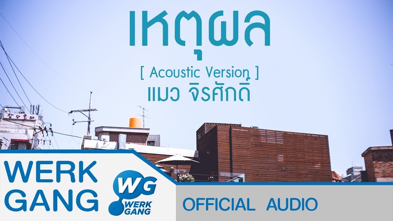 เหตุผล [Acoustic Version] - แมว จิรศักดิ์ [Official Audio]