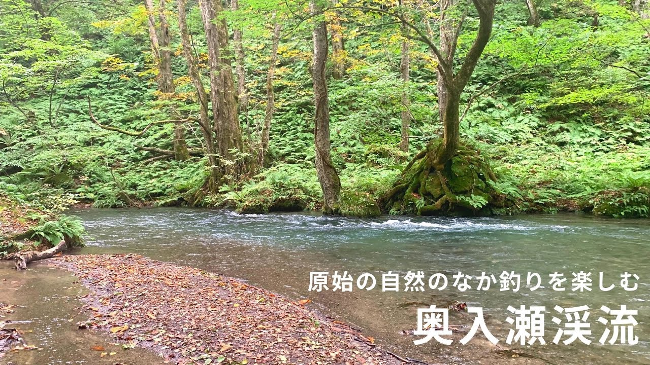 奥入瀬川・蔦沼（奥入瀬川漁協） | FISHPASS(フィッシュパス)