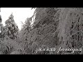 EW2025 - Зимняя рапсодия (Winter Rhapsody)