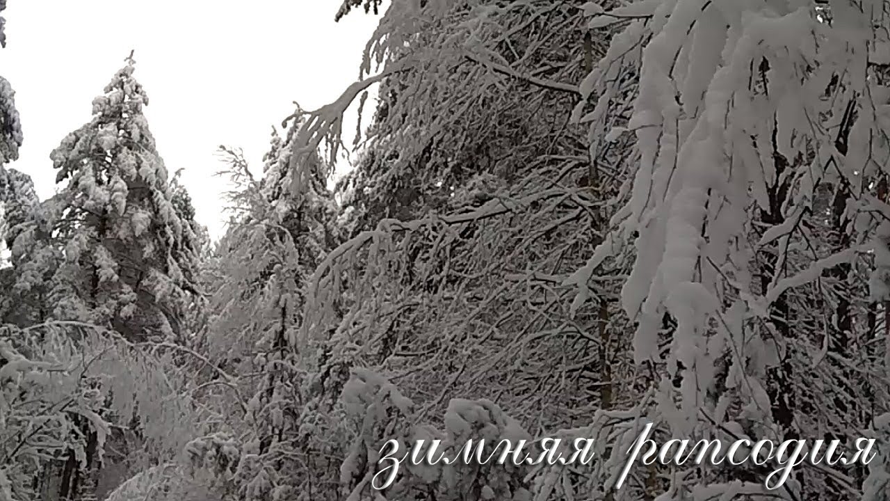EW2025 - Зимняя рапсодия (Winter Rhapsody)