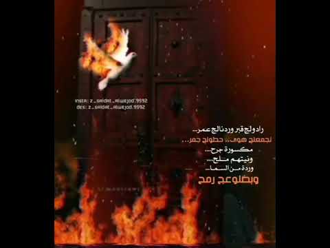 علي الدلفي رادولج قبر 