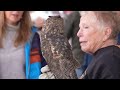 Construction continues on the Montana Wild avian walkway project