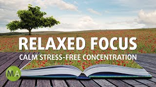 Calm, Relaxing Study Music for Stress-Free Concentration with Isochronic Tones screenshot 5