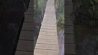 Padiços E Moinhos Da Ribeira De São João - Pr14 Ptl Trilho Das Portelas -Labruja -Ponte De Lima