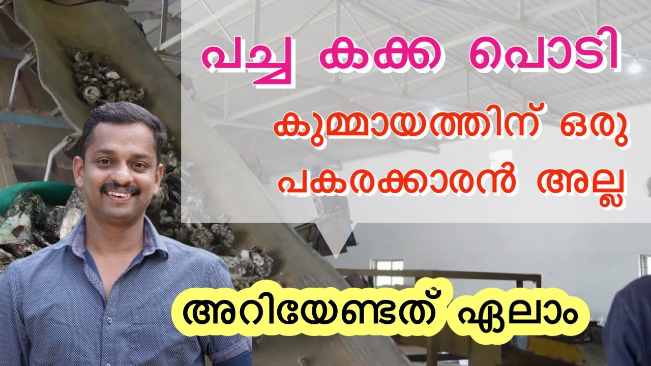 കുമ്മായത്തിന് പകരം കക്ക പൊടിച്ചത് 