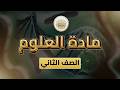 الصف 2 علوم الفصل 2 الوحدة 4 الدرس 40 يحمي جسمها من ص 70 إلى 76
