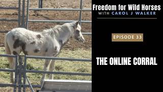 33. The Online Corral
