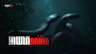 Download lagu អាឃាតពស់វែក | តំណាលខ្មោច | Domnal Stories Podcast | យប់ទី276