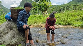 Download Lagu Boy and girl picking wild vegetables to sell - Redesigning chicken coop, feeding chickens and pigs MP3 Download Lagu Boy and girl picking wild vegetables to sell - Redesigning chicken coop, feeding chickens and pigs MP3