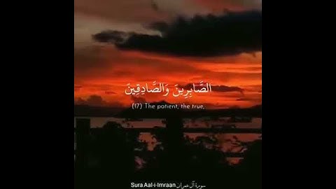 🕊️حالات واتس اب قرءان 🦋القارئ احمد العجمي🦋سورة آل عمران 🕊️