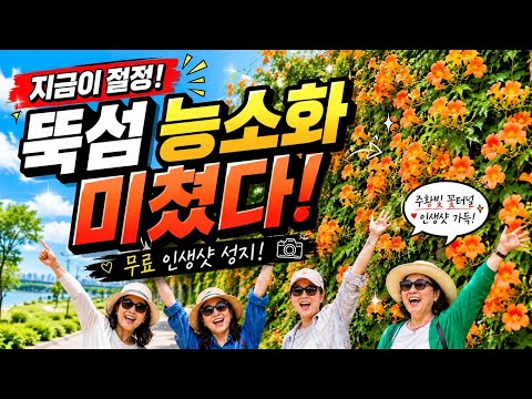 [능소화 폭포 / 절정] 서울에 이런 곳이? 주황빛 능소화 천국 Seoul's Hidden Summer Paradise Covered in Orange Flowers
