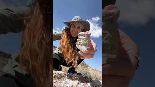 Finding Actual Opalite geology rocks crystals 