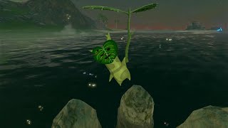 Hateno Korok Seed Locations #68 - 63 - Hateno Tower - Breath of the Wild - Nintendo Switch Games