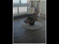 BW super atomic sit up