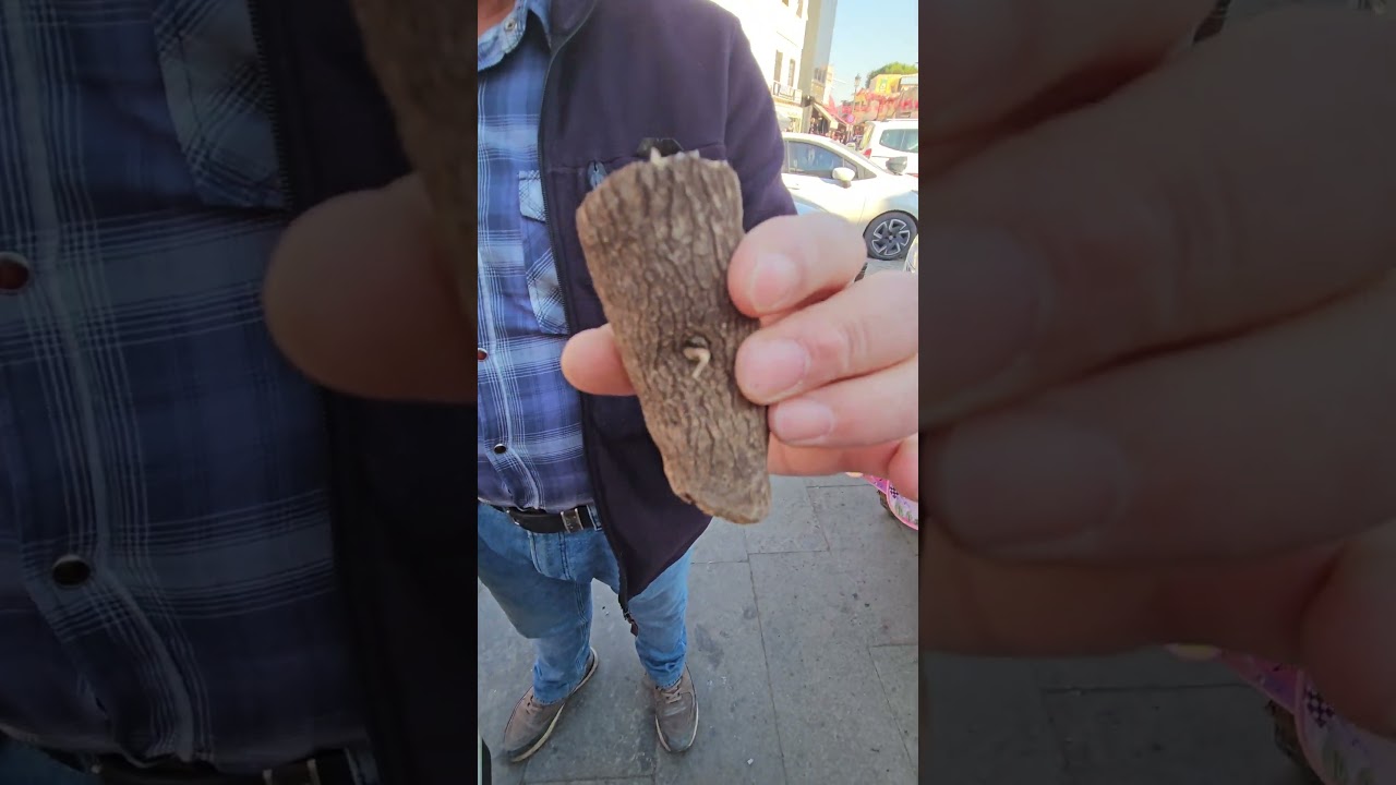 Şifalı Adam Otu Kantrola karıştırıp kullanınca faydalıymış