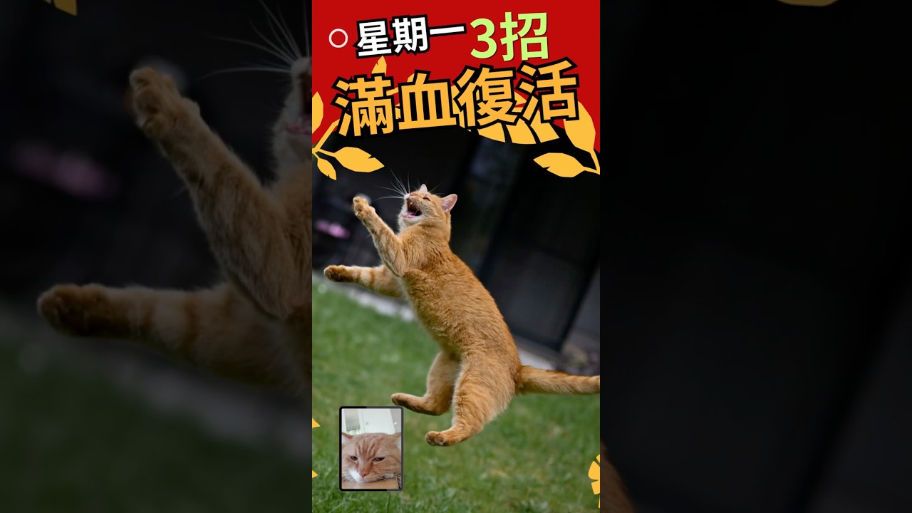 星期一不想上班？3招把自己叫醒 #kate醫師 #健康知識 #健康管理 #家庭醫學 縮圖